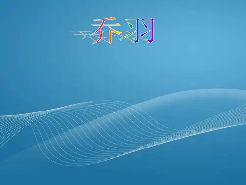 乔羽