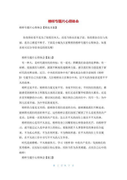 榜样专题片心得体会