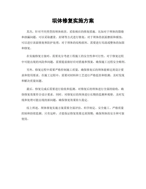 坝体修复实施方案