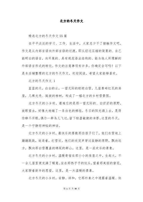 北方的冬天作文