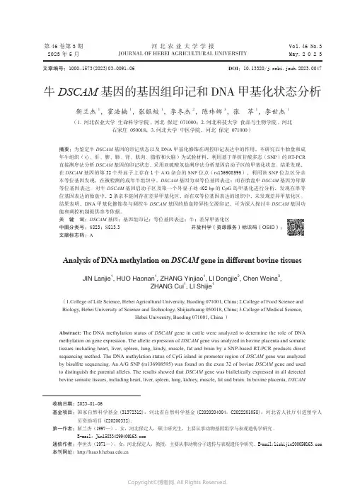219387083_牛DSCAM_基因的基因组印记和DNA_甲基化状态分析