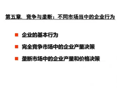 经济学导论-5竞争与垄断-文档资料