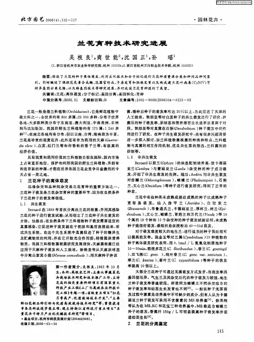 兰花育种技术研究进展