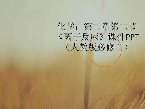 最新-高中化学 第二章第二节《离子反应》课件 新人教版必修1 精品 