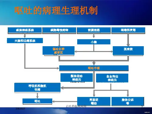 止吐药临床应用培训课件