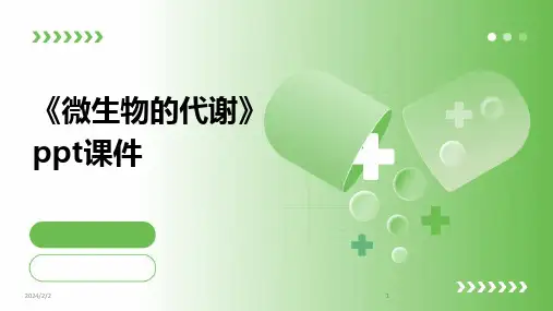 2024版年度《微生物的代谢》ppt课件