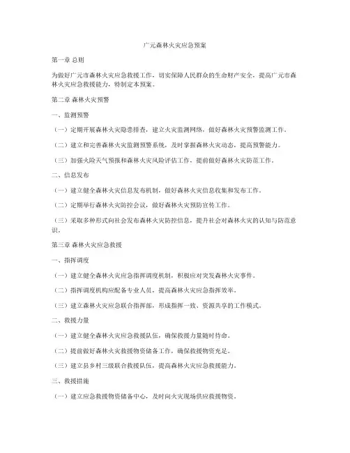 广元森林火灾应急预案