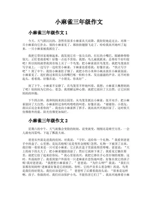小麻雀三年级作文