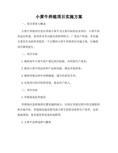 小黄牛养殖项目实施方案