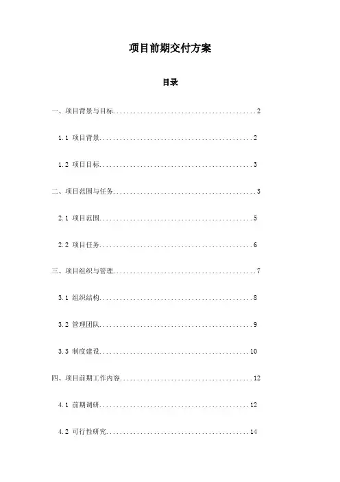项目前期交付方案