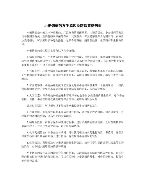 小麦锈病的发生原因及防治策略剖析