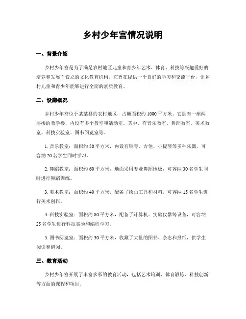 乡村少年宫情况说明