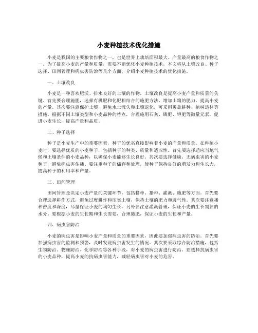 小麦种植技术优化措施
