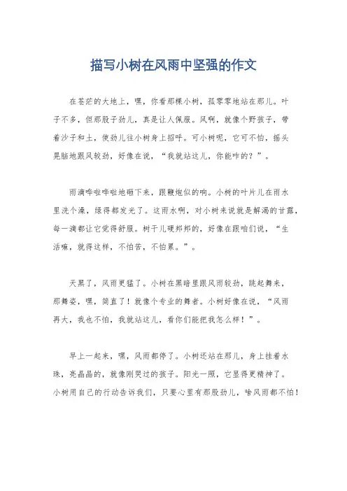 描写小树在风雨中坚强的作文