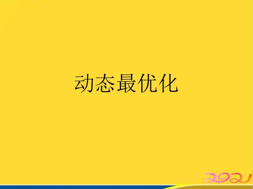 动态最优化(标准版)ppt资料