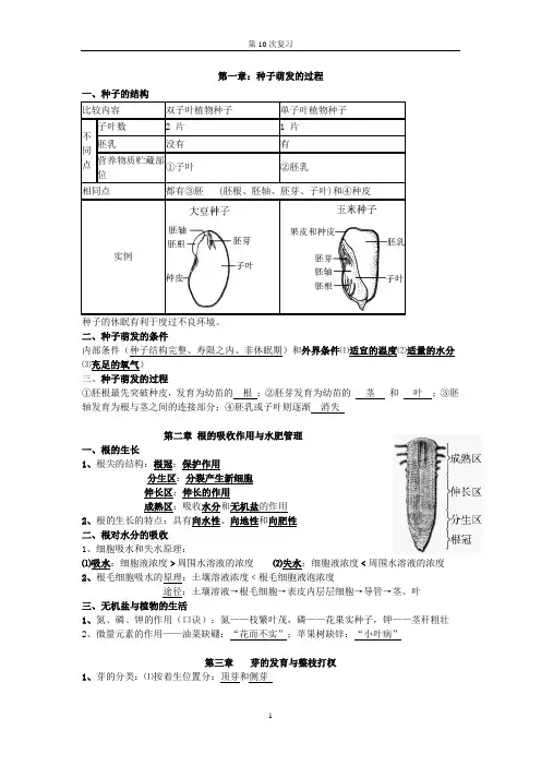 10种子的萌发过程