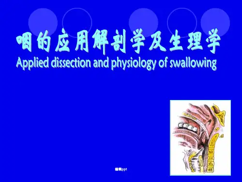 咽的解剖与生理