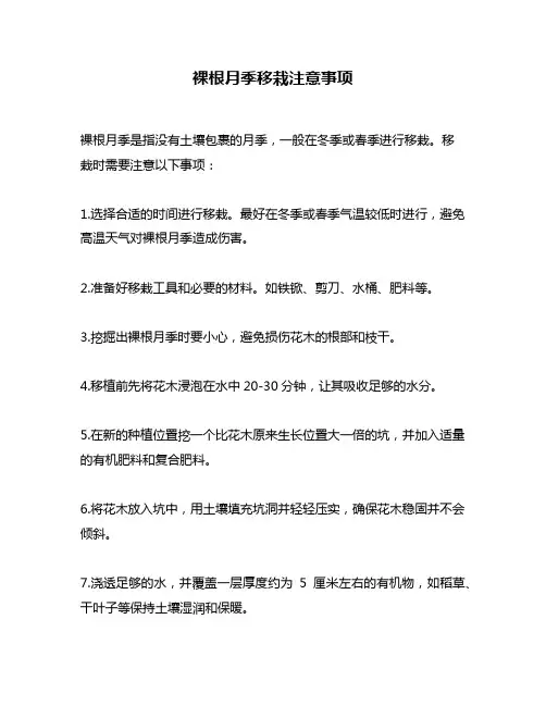 裸根月季移栽注意事项