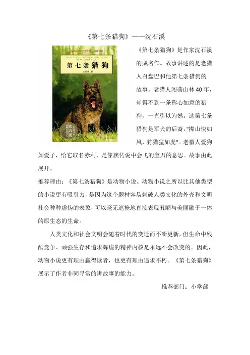 《第七条猎狗》推荐小学部以此为准