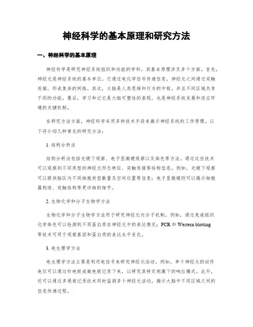神经科学的基本原理和研究方法