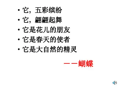 16、台湾蝴蝶甲天下讲解