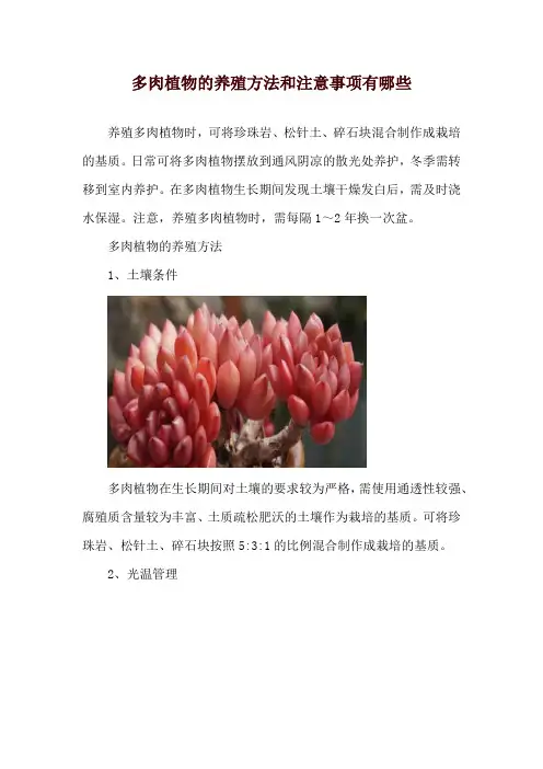 多肉植物的养殖方法和注意事项有哪些