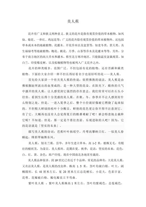美人蕉介绍