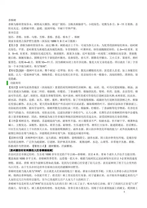 香樟树
