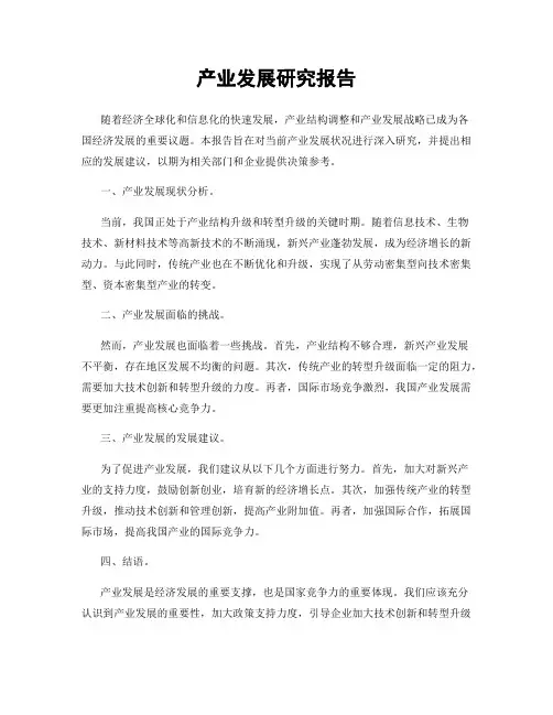 产业发展研究报告