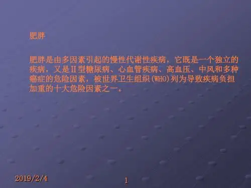 肥胖症营养治疗ppt课件