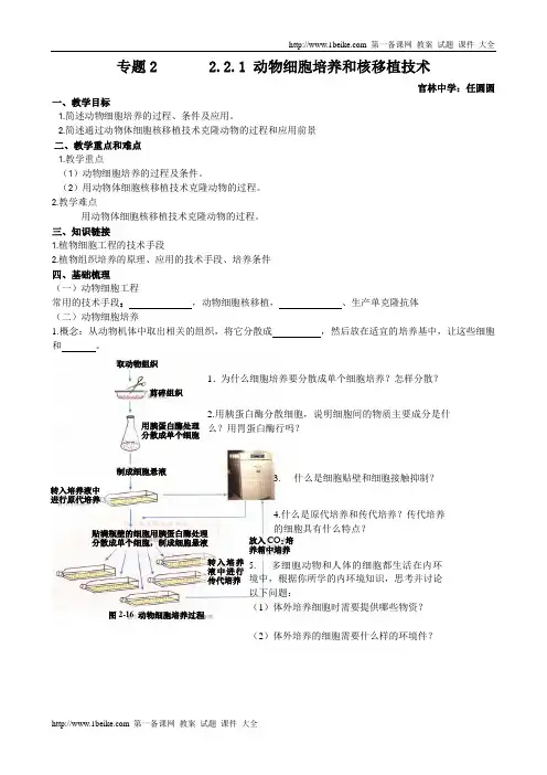 生物：2.2.1《动物细胞培养和核移植技术》教案(新人教版选修3)