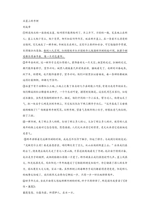 刘成章《石崖上的枣树》阅读练习及答案