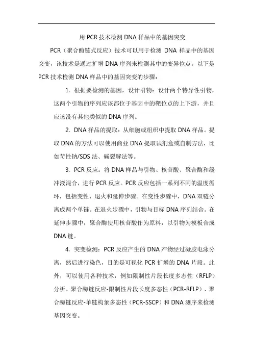 用PCR技术检测DNA样品中的基因突变