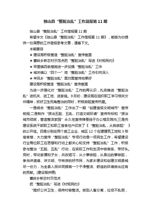 独山县“整脏治乱”工作简报第11期