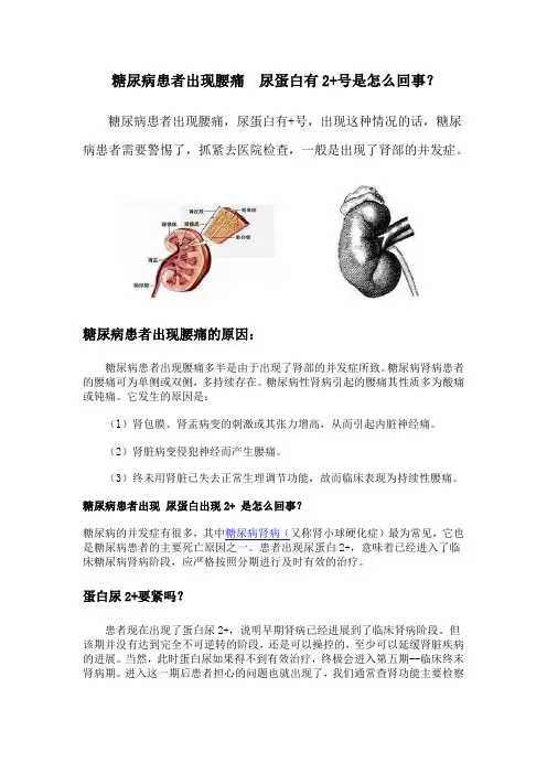 糖尿病患者出现腰痛  尿蛋白有2+号是怎么回事？