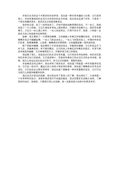 我对昆虫的观察