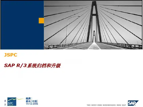 SAP系统归档及升级