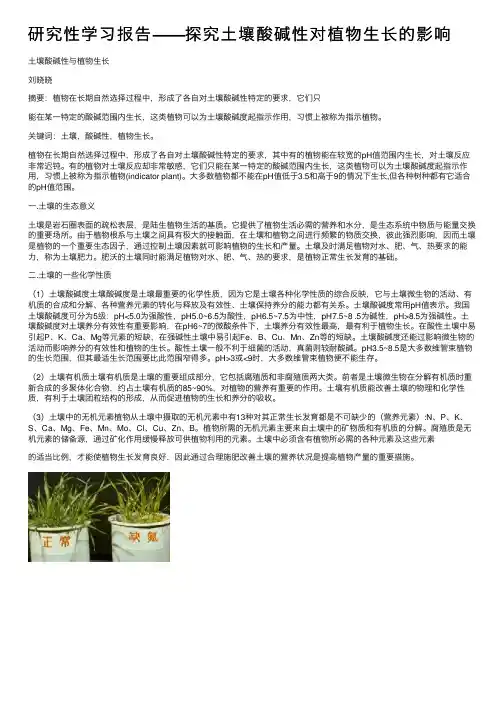 研究性学习报告——探究土壤酸碱性对植物生长的影响