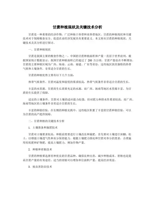 甘蔗种植现状及关键技术分析