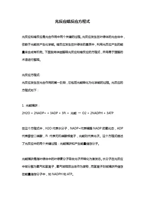 光反应暗反应方程式