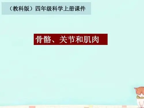 秋教科版科学四上4.2《骨骼、关节和肌肉》ppt课件2