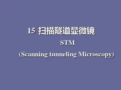 扫描隧道显微镜STM