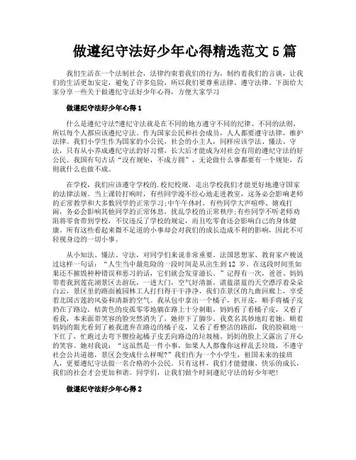 做遵纪守法好少年心得精选范文5篇