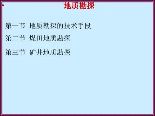 《煤矿地质勘探培训》PPT课件