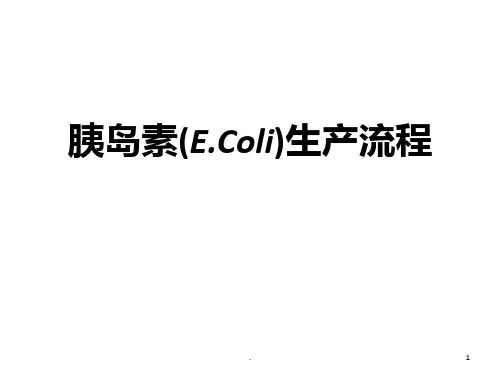 胰岛素生产流程图