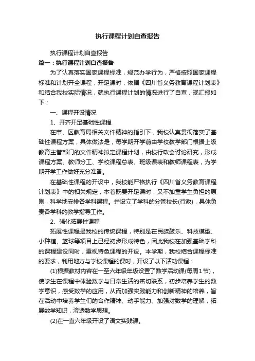执行课程计划自查报告