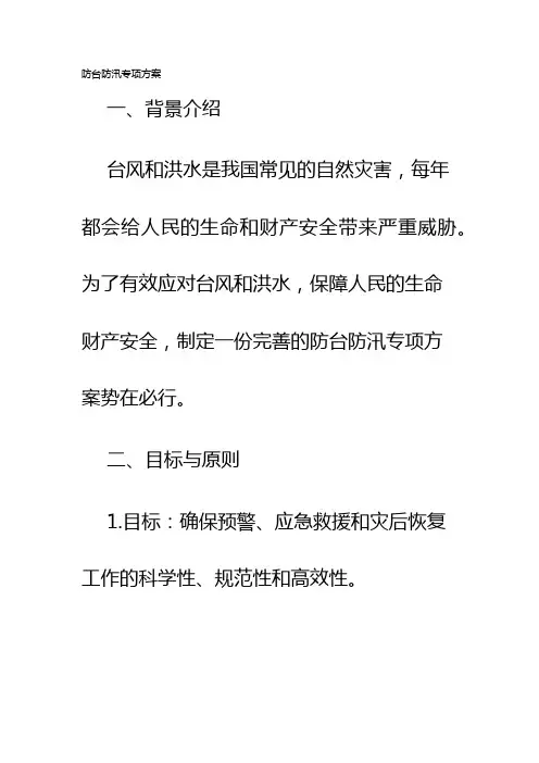 防台防汛专项方案