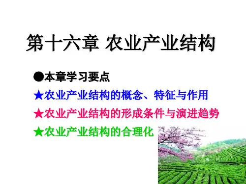 农业产业结构的合理化 - 第十六章农业产业结构