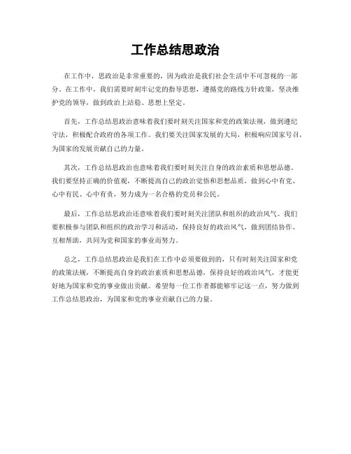 工作总结思政治