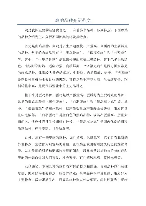 鸡的品种介绍范文